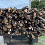 Lemn de foc pentru iarna 2026: stocuri suficiente și prețuri neschimbate