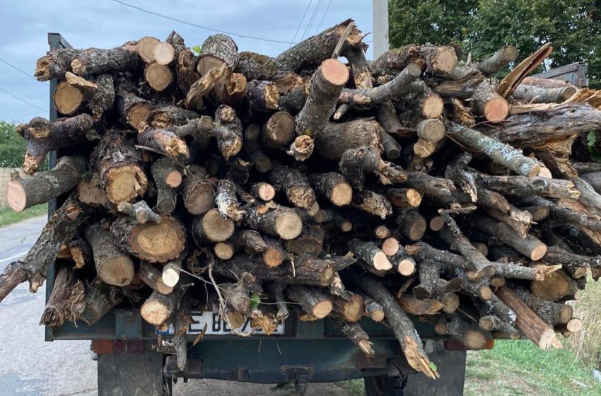  Lemn de foc pentru iarna 2026: stocuri suficiente și prețuri neschimbate