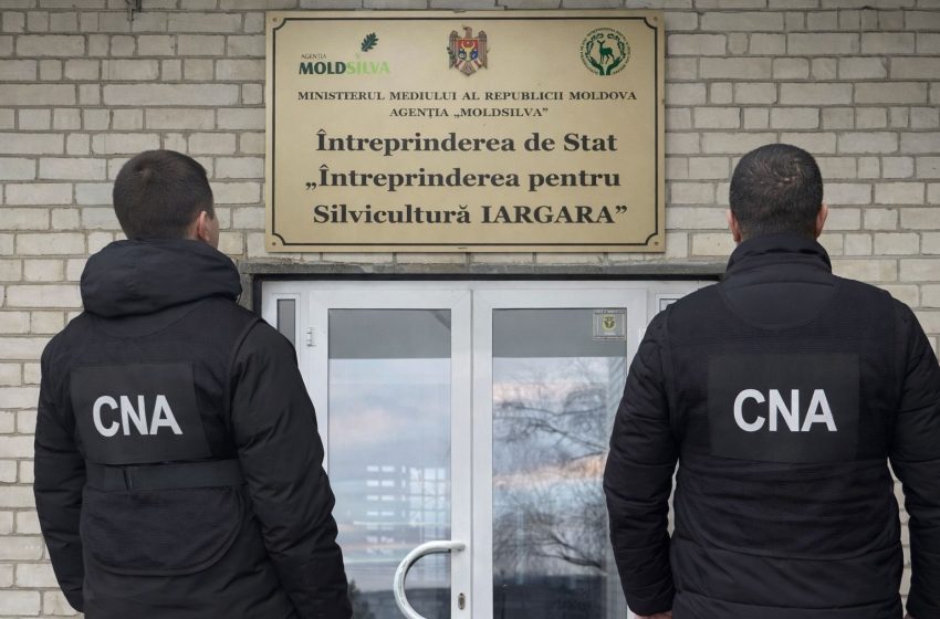  Patru milioane de lei furați din fondurile pentru împădurire