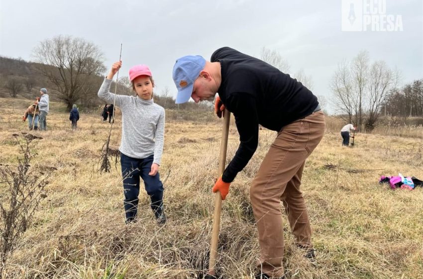  Plantări pe ambele maluri ale Prutului. A fost lansată campania „Primăvara 2026”
