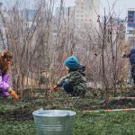 Atelier de plantare a unei păduri Miyawaki în campusul Mircești din Chișinău. Sunt invitați toți doritorii