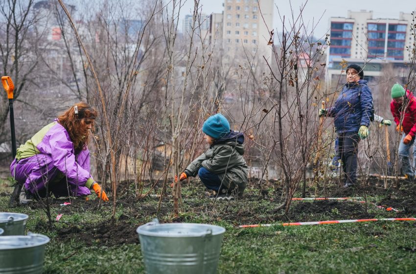  Atelier de plantare a unei păduri Miyawaki în campusul Mircești din Chișinău. Sunt invitați toți doritorii