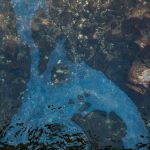 Guvernul a instituit stare de alertă de mediu pe Nistru pentru 15 zile