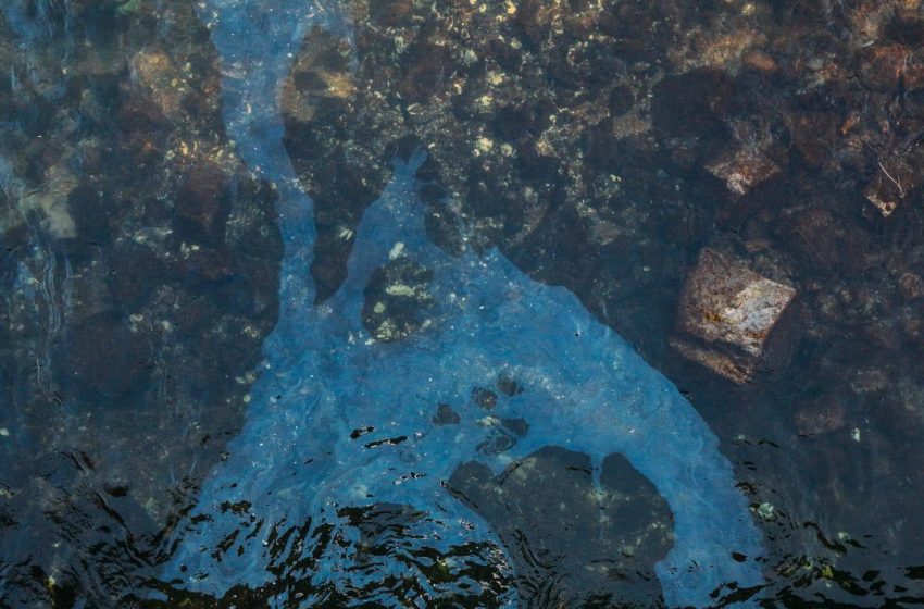  Guvernul a instituit stare de alertă de mediu pe Nistru pentru 15 zile