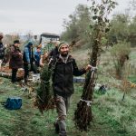 Încep plantările în toată țara: unde și cum putem participa