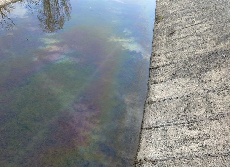  Pete de ulei pe râul Bîc. Autoritățile investighează