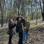 Ziua Internațională a Păsărilor, sărbătorită prin birdwatching în Valea Morilor