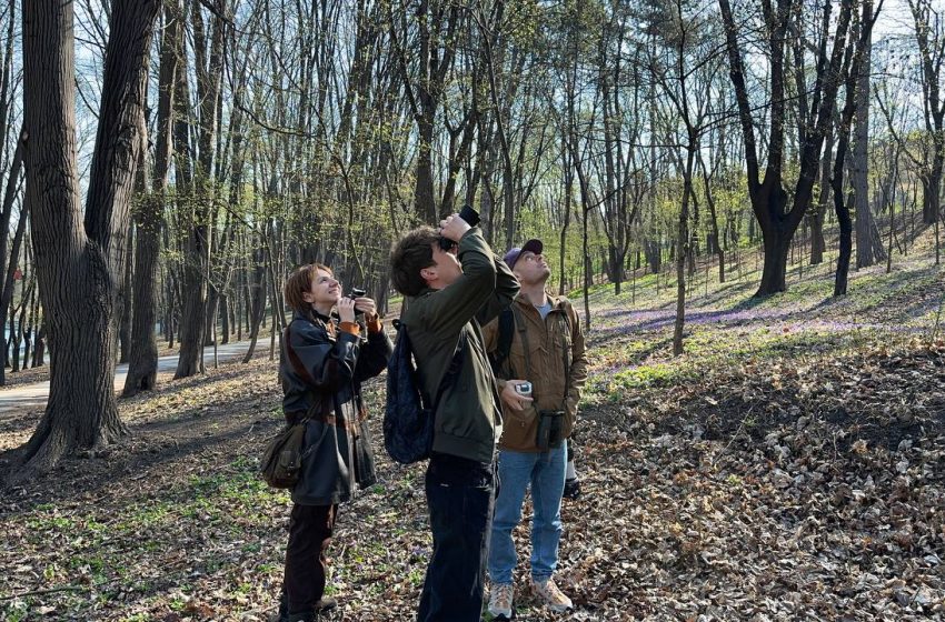  Ziua Internațională a Păsărilor, sărbătorită prin birdwatching în Valea Morilor