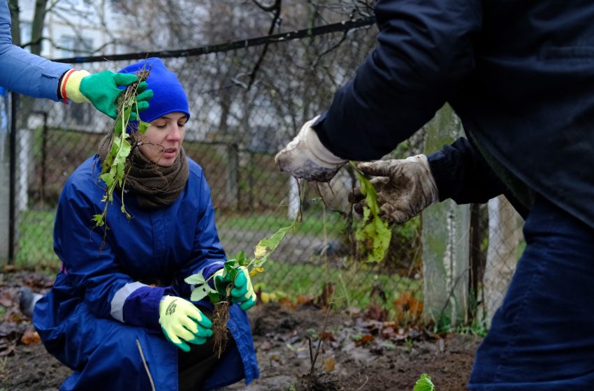  Grădină pluvială în scuarul Circului: atelier practic în Chișinău pentru toți doritorii