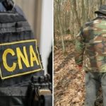 Până la 8000 de euro pentru un post de pădurar la „Moldsilva”: doi bănuiți într-un dosar CNA
