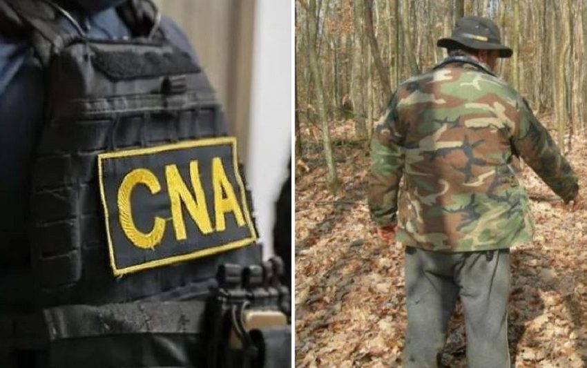  Până la 8000 de euro pentru un post de pădurar la „Moldsilva”: doi bănuiți într-un dosar CNA