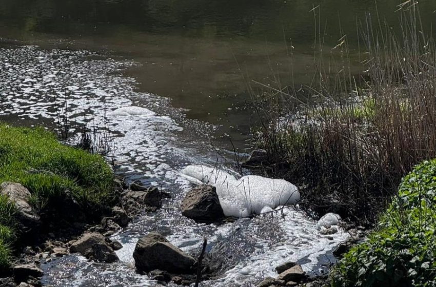  Al treilea caz de poluare a râului Răut. Noi suspiciuni asupra stației de epurare din Orhei