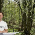 Reforma Agenției „Moldsilva”: o singură întreprindere de stat, salarii mai mari pentru pădurari și un preț unic pentru masa lemnoasă