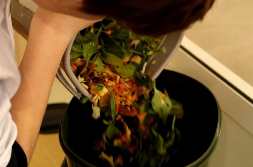  Compost în loc de gunoi: cum valorifică o școală din Chișinău resturile alimentare