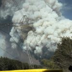 Incendiu forestier în zona Cernobîl: focul a cuprins peste 1.100 de hectare 