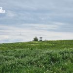 Ziua Fotografierii Naturii: imagini care ne apropie de mediul înconjurător