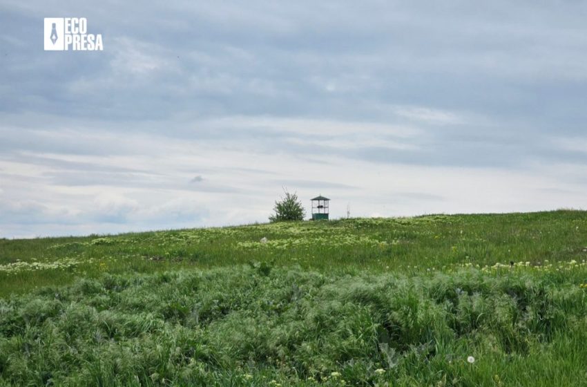  Ziua Fotografierii Naturii: imagini care ne apropie de mediul înconjurător