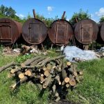 Tăieri ilegale de arbori depistate de inspectorii de mediu din Strășeni