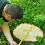 Tăieri ilegale și deversări de ape uzate în nordul țării. Prejudiciul adus mediului depășește 68 de mii de lei
