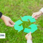 De Ziua Mondială a Mediului, ne reamintim că un viitor durabil se construiește prin responsabilitate comună