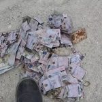 Cum au ajuns permisele românești la gunoiștea din Porumbeni