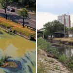 Pete de culoare neobișnuită pe râul Bîc. Autoritățile nu au identificat sursa