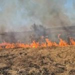 Circa 35 de hectare afectate în ultimele 24 de ore de incendii de vegetație