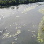 Guvernul a stare de alertă hidrologică pentru 30 de zile, în contextul scăderii debitului Nistrului