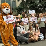 „Animalele nu au voce, noi trebuie să le fim vocea”. Zeci de oameni au protestat în fața Guvernului pentru protecția animalelor