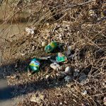 O clacă pentru curățenie în parcul „La Izvor”. Emilia Vorobiov invită chișinăuienii să se alăture