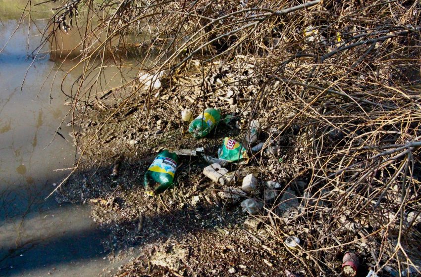  O clacă pentru curățenie în parcul „La Izvor”. Emilia Vorobiov invită chișinăuienii să se alăture