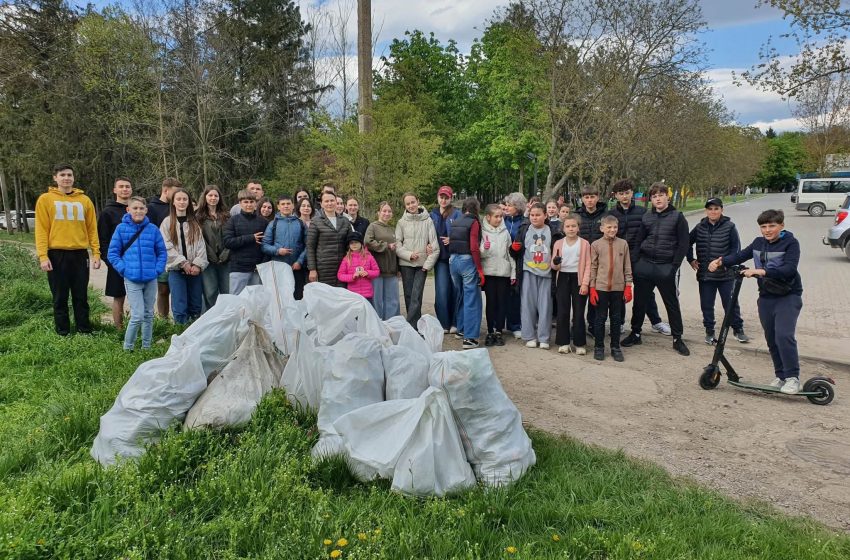  Șase echipe de tineri au monitorizat problemele de mediu din comunitățile lor și au propus soluții