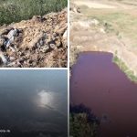 Imagini cu apă suspectă și resturi de animale, în apropiere de Comrat. IPM verifică trei agenți economici