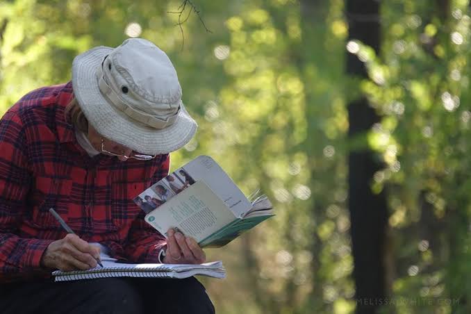  Atelier de scriere creativă despre doliul și speranța climatică: cum ne scriem emoțiile într-o lume în schimbare