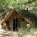 Rezervația Naturală „Codrii”, oază de natură în inima țării